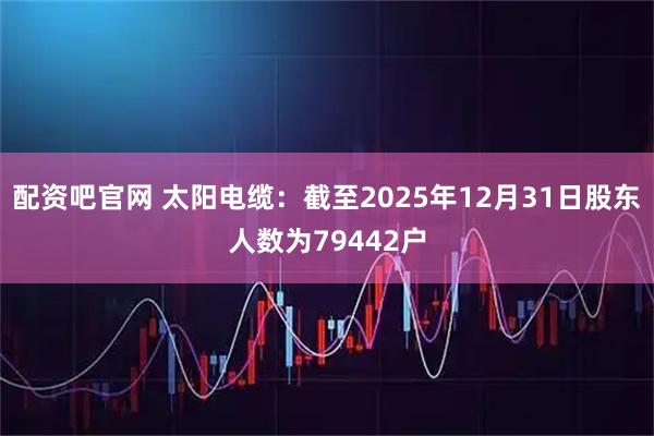 配资吧官网 太阳电缆：截至2025年12月31日股东人数为79442户