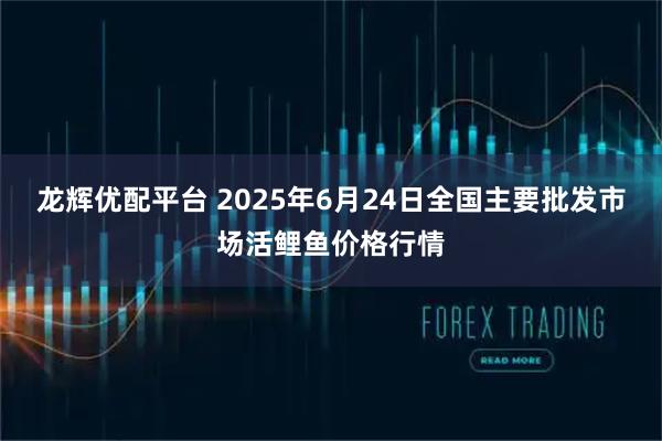 龙辉优配平台 2025年6月24日全国主要批发市场活鲤鱼价格行情